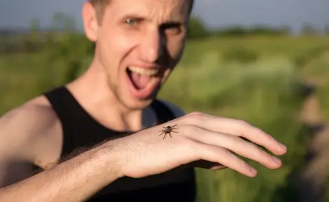 El aloe vera ayuda en las picaduras de insectos