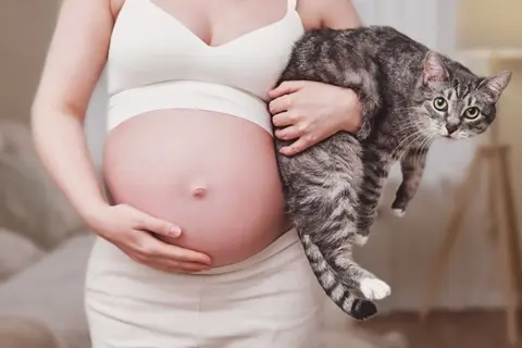 Prevenir la toxoplasmosis en el embarazo